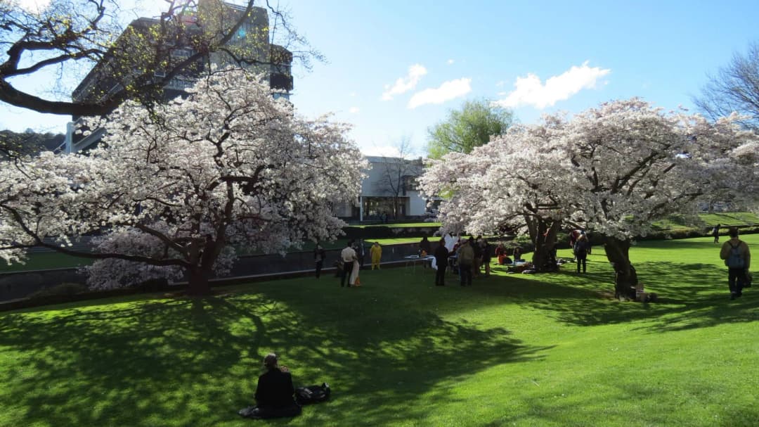 Otago University Campus
